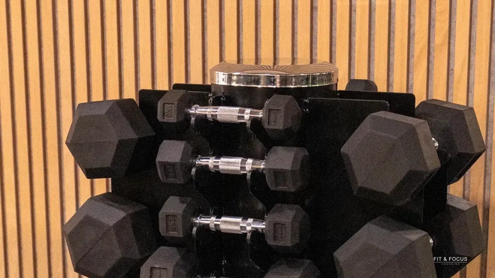 Rek met hexagonale dumbbells voor de houten lattenwand