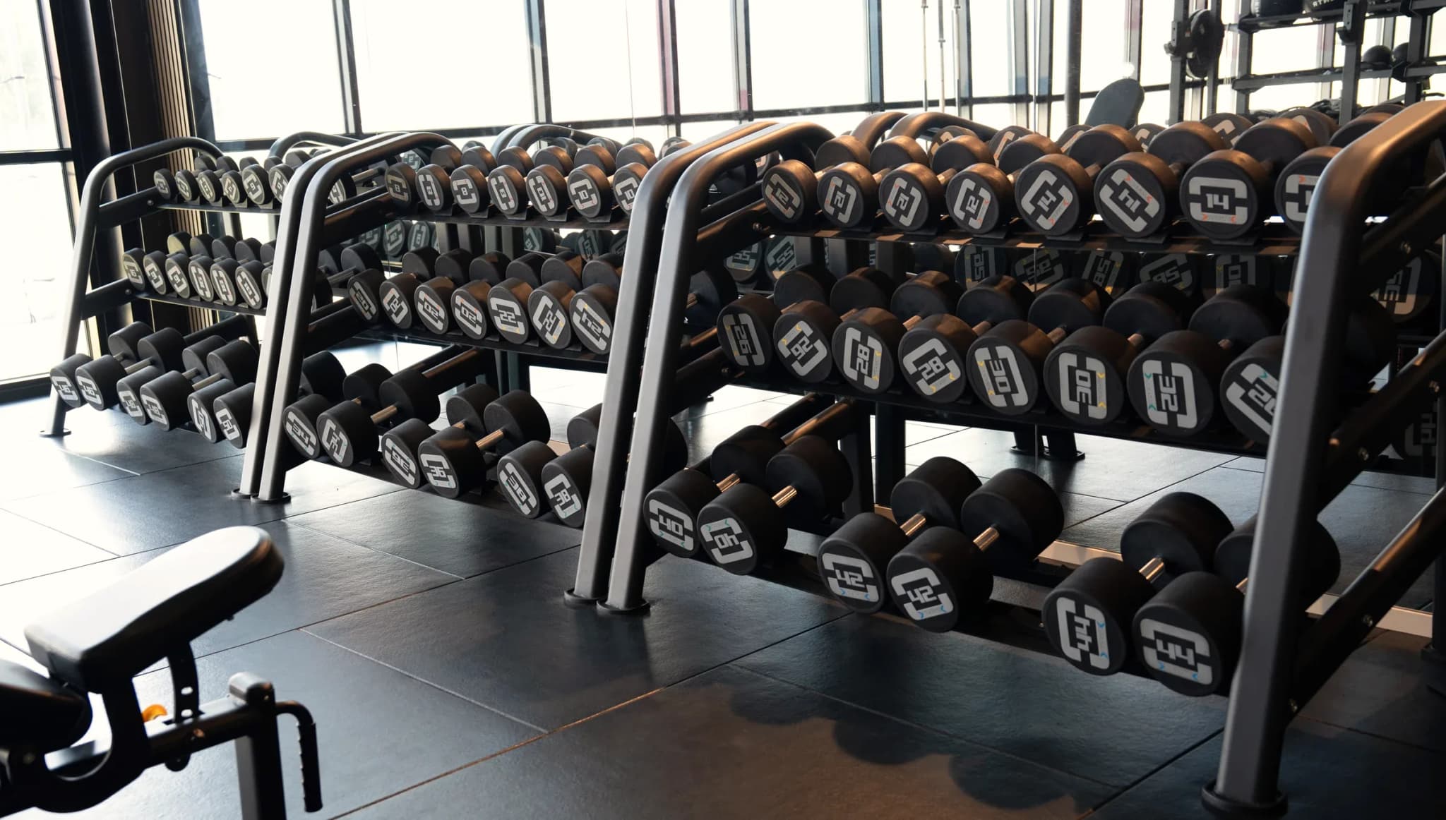 Rijen dumbbells in rekken langs de raamwand