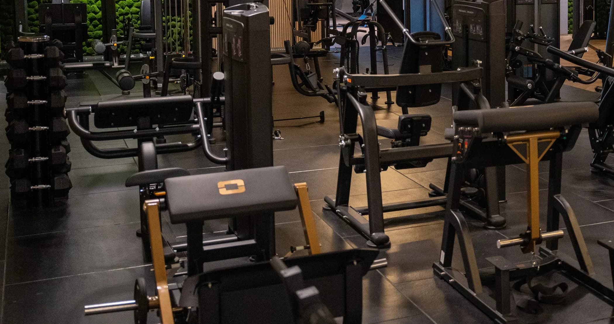 Overzicht van de krachtafdeling met machines en dumbbells
